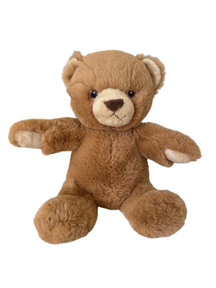 teddy fond transparent